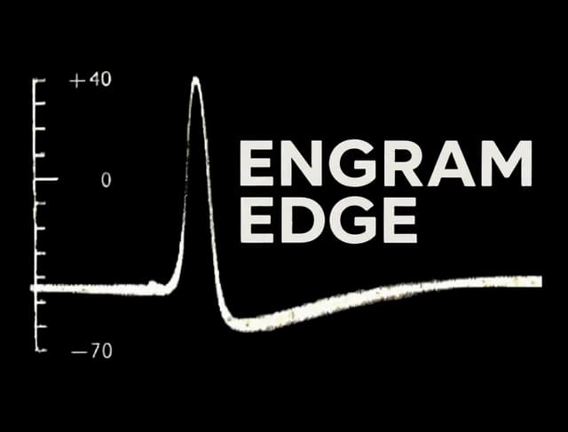 Engram Edge